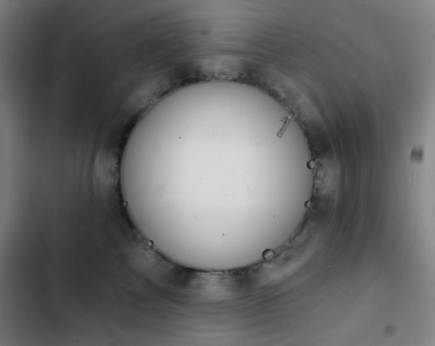 X0000103300713200808291405