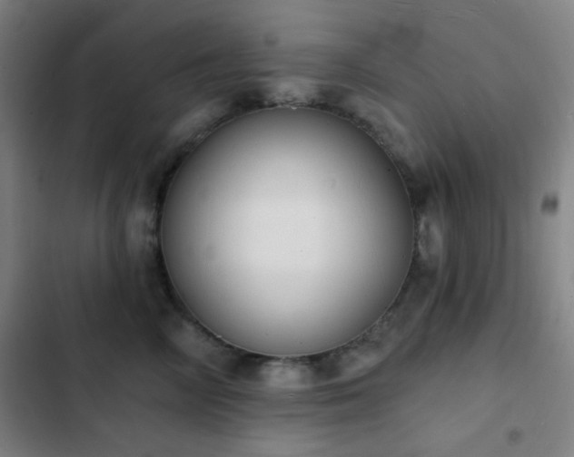 X0000103300714200808291405