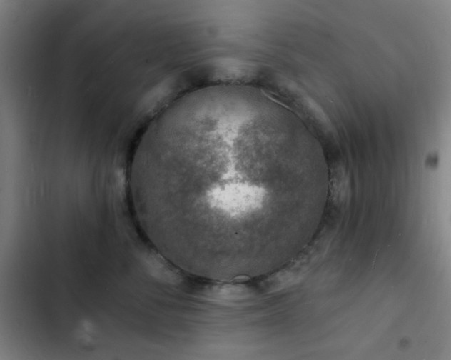 X0000103300716200808291405