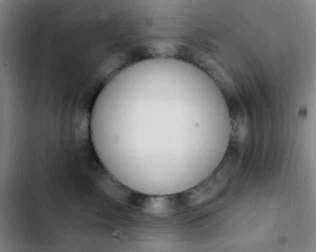 X0000103300717200808291405