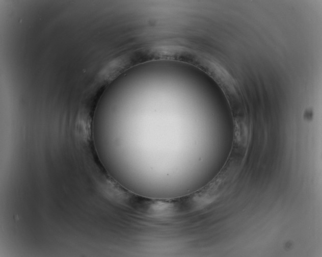 X0000103300718200808291405