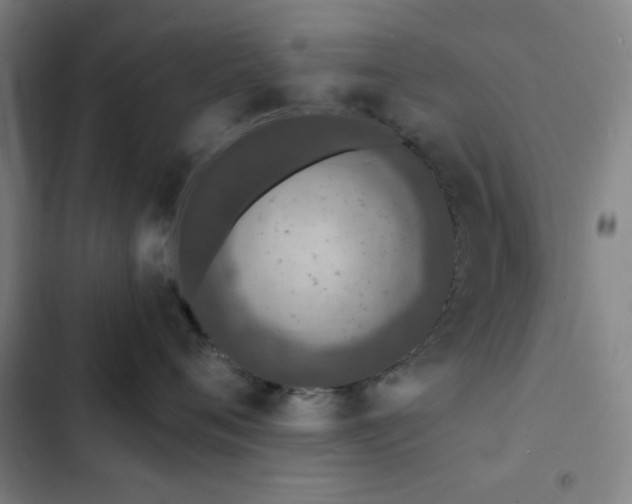 X0000103300720200808291405