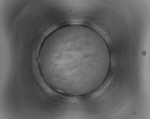 X0000103300721200808291404