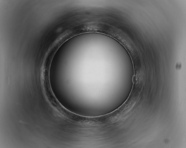 X0000103300722200808291404