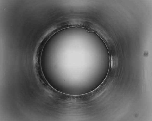 X0000103300723200808291404