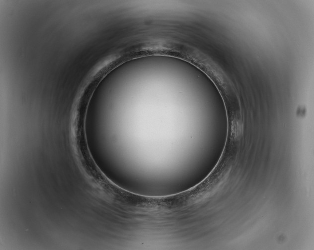 X0000103300724200808291405