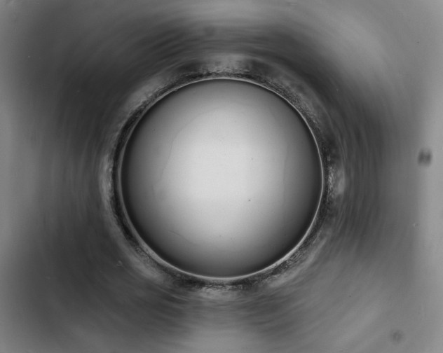 X0000103300725200808291405