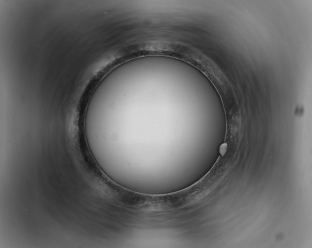 X0000103300727200808291405