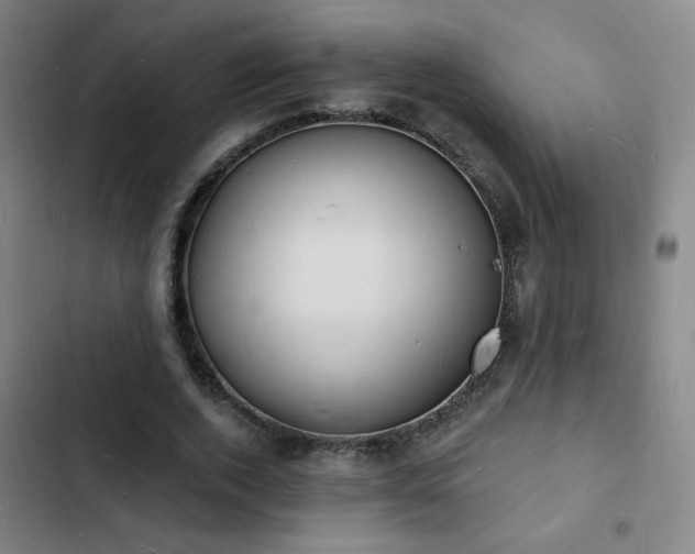 X0000103300728200808291405