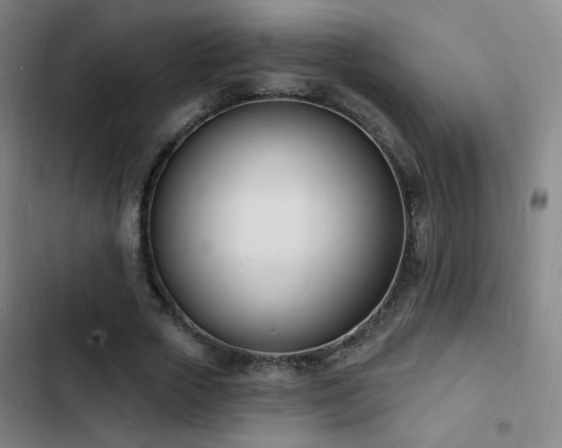 X0000103300729200808291405