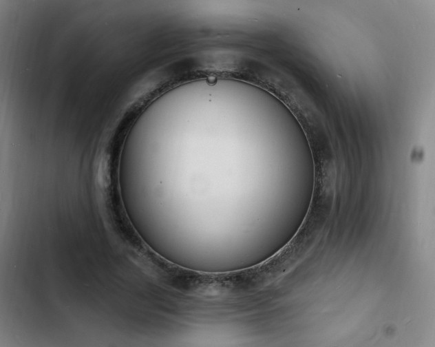 X0000103300731200808291405