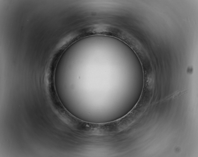 X0000103300732200808291405