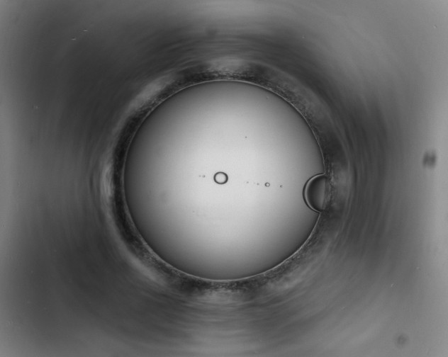 X0000103300734200808291405
