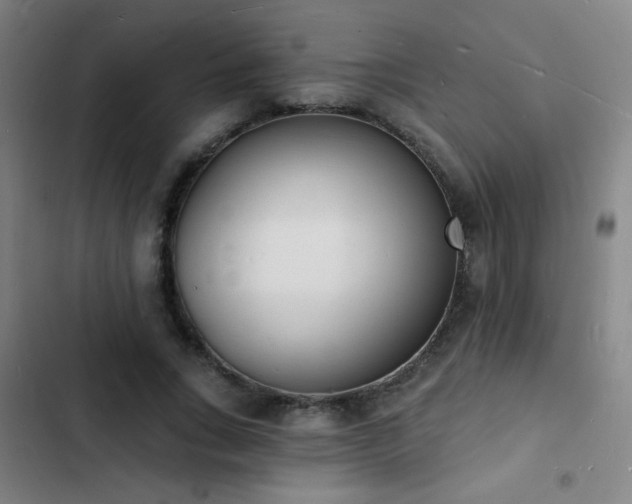 X0000103300735200808291405