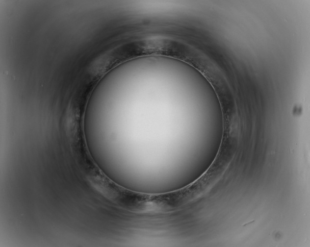 X0000103300737200808291405