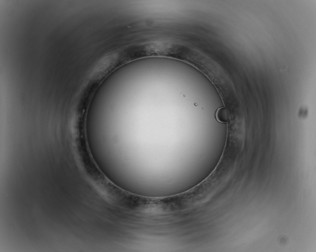 X0000103300738200808291405