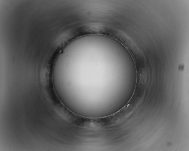 X0000103300739200808291405
