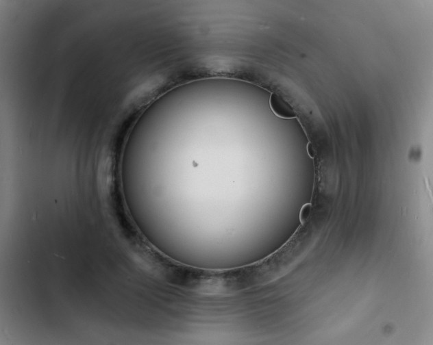 X0000103300740200808291405