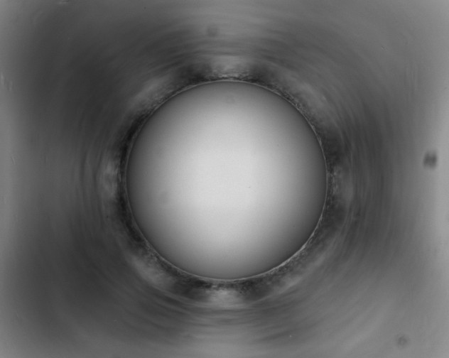 X0000103300741200808291405