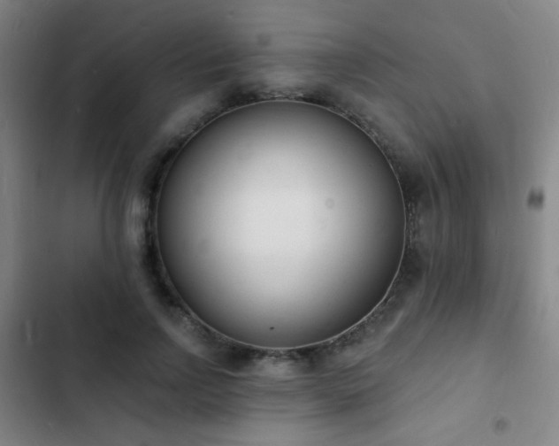 X0000103300742200808291405