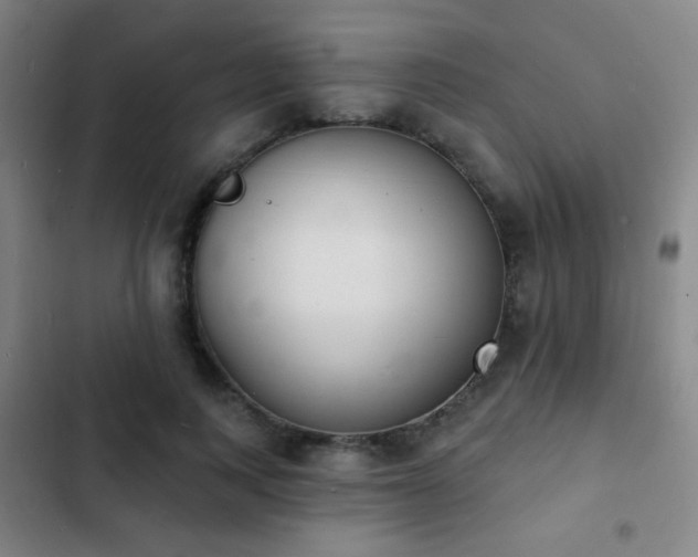 X0000103300743200808291405
