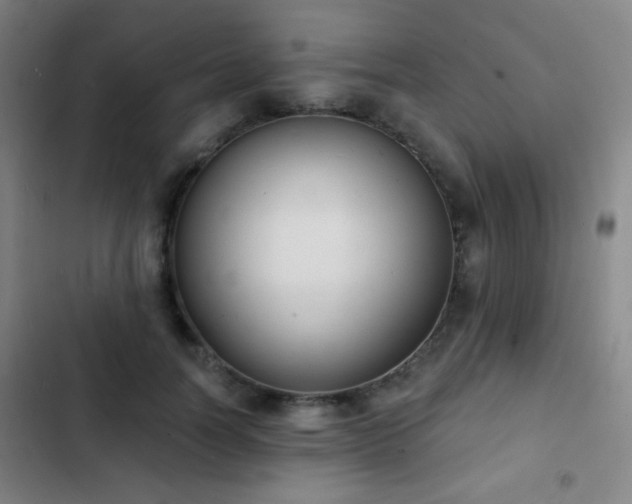 X0000103300746200808291405