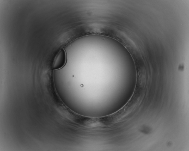 X0000103300747200808291405