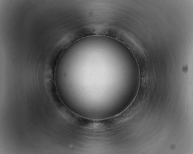 X0000103300748200808291405