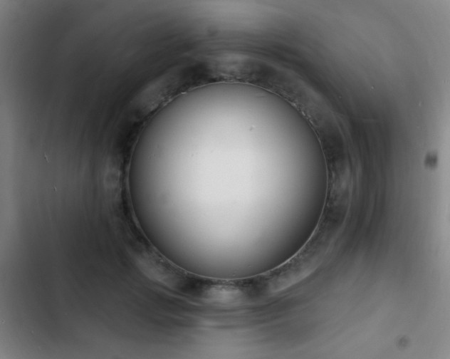 X0000103300749200808291405