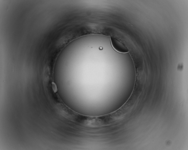 X0000103300752200808291405