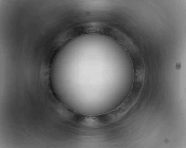 X0000103300753200808291405