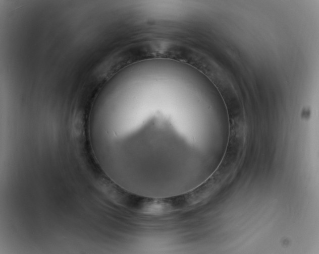 X0000103300754200808291405