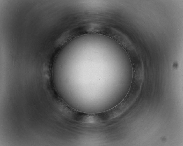 X0000103300755200808291405
