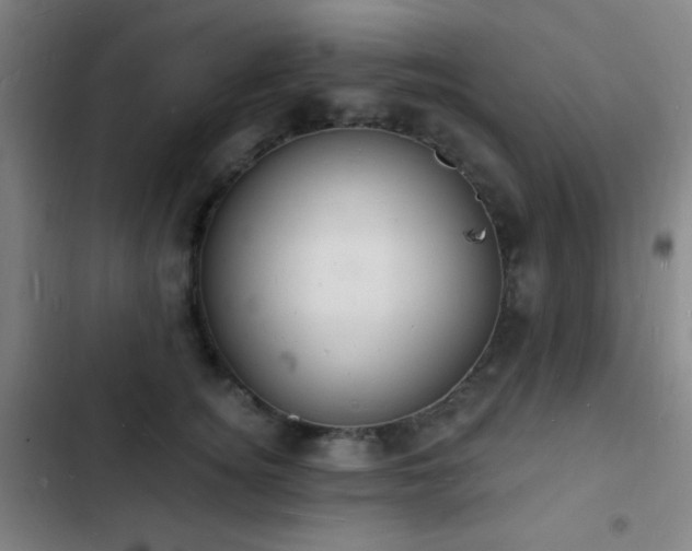 X0000103300756200808291405