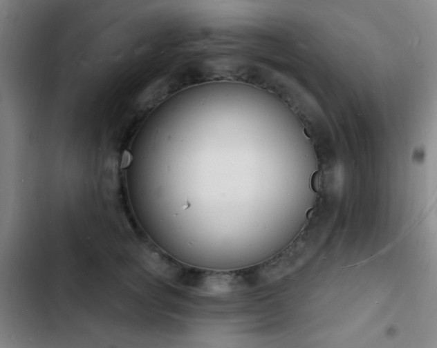 X0000103300757200808291405