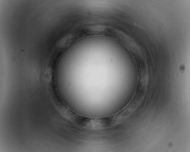 X0000103300758200808291405