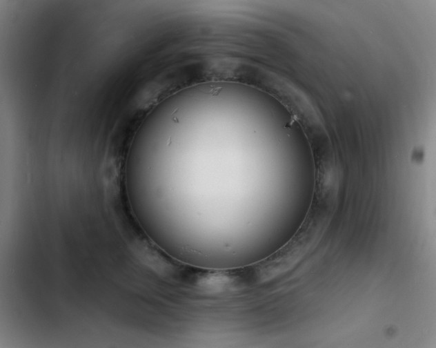 X0000103300759200808291405