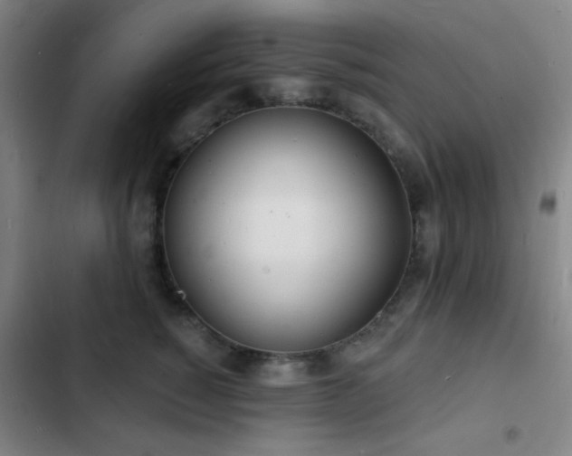 X0000103300760200808291405