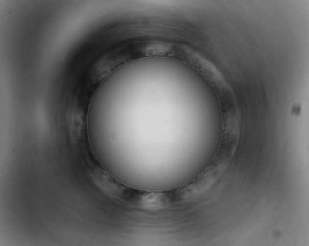 X0000103300761200808291405