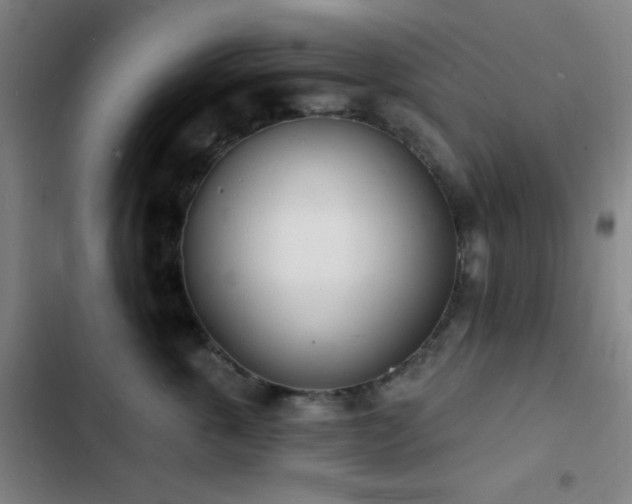 X0000103300763200808291405