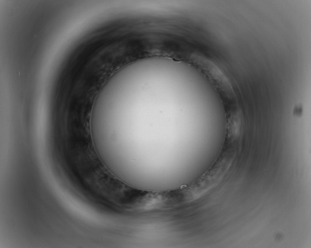 X0000103300764200808291405