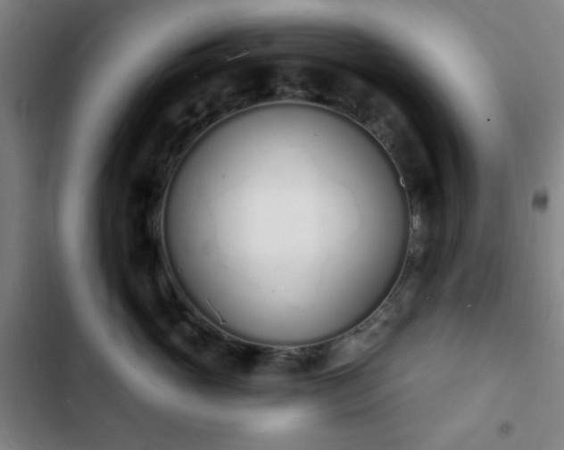 X0000103300765200808291405
