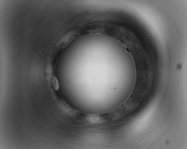 X0000103300767200808291405