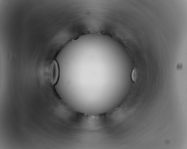 X0000103300768200808291405