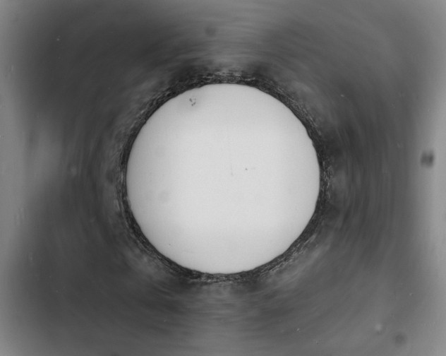 X0000103300769200808291404