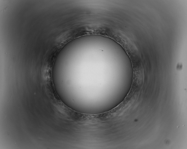 X0000103300770200808291404