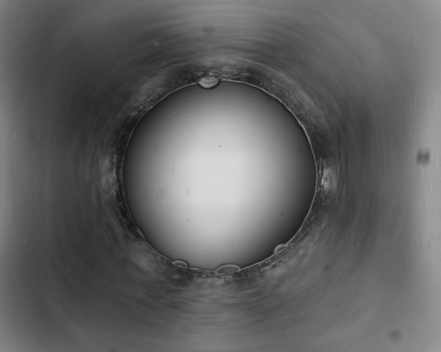 X0000103300771200808291404