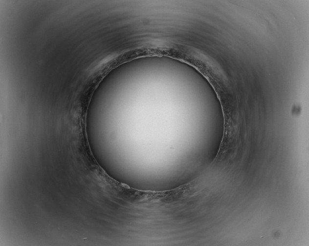 X0000103300773200808291404