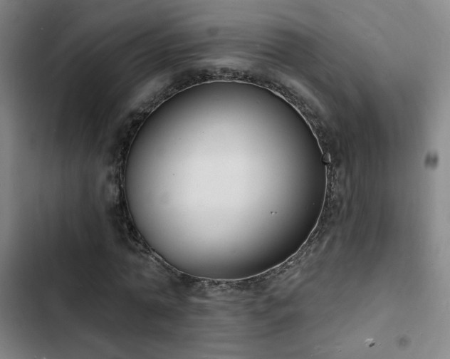 X0000103300774200808291404