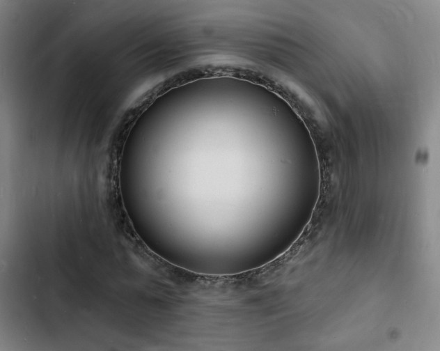 X0000103300775200808291404